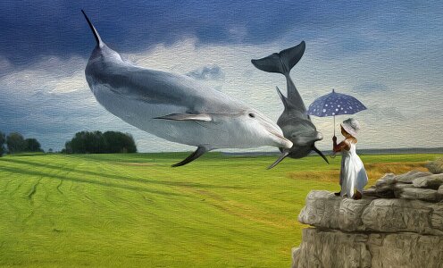 Sky summer Free illustrations