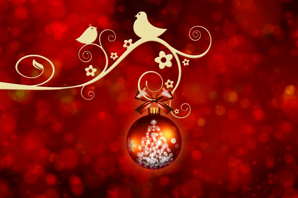 Birds chirp tweet