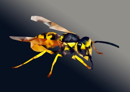 Animal kingdom wasp abstract