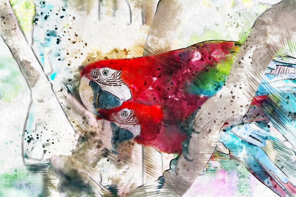 Art colorful fun