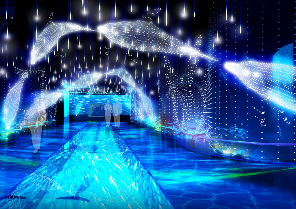 Dolphin blue Free illustrations