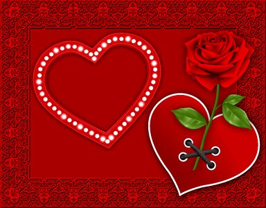 Design red rose background
