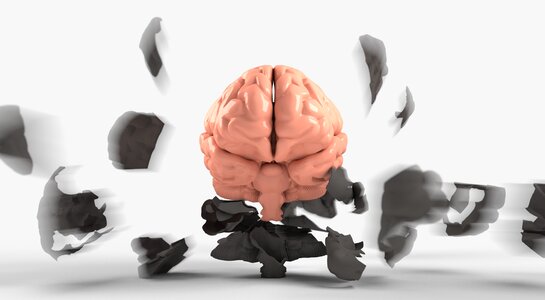 Psychology human neurology