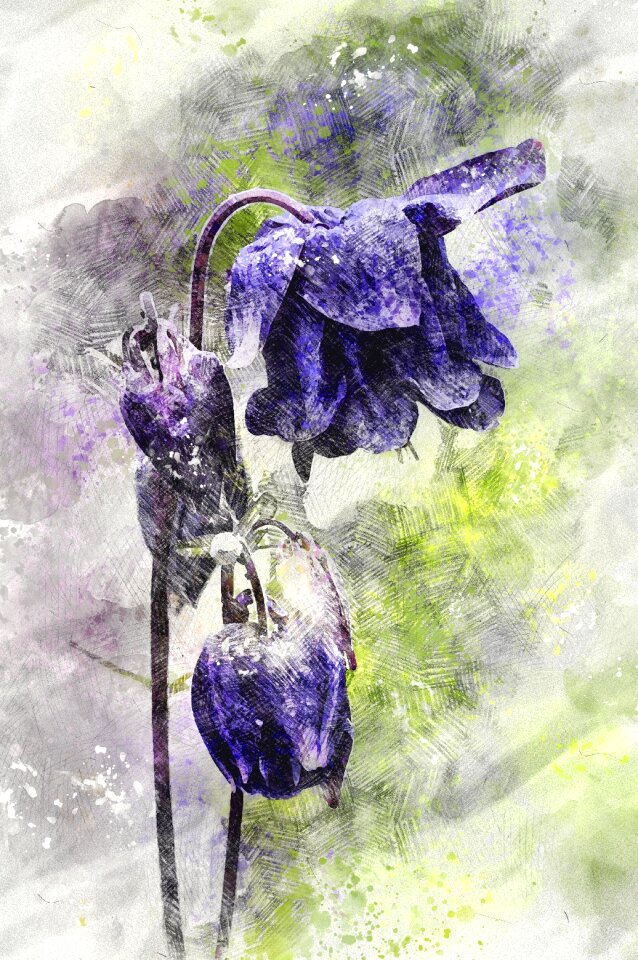 Purple garden nature