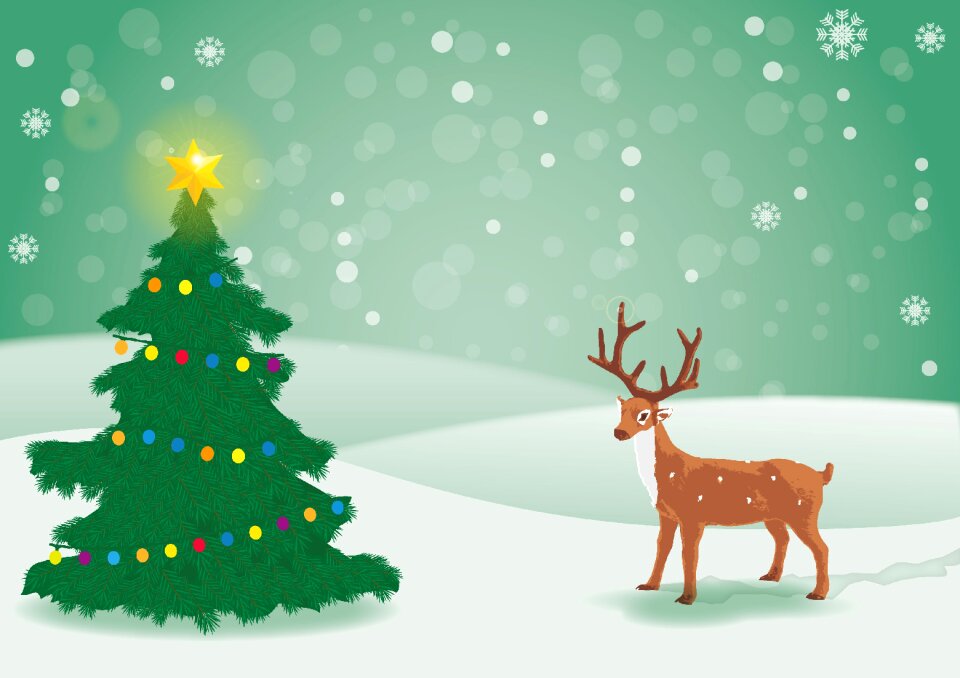 Christmas time star winter