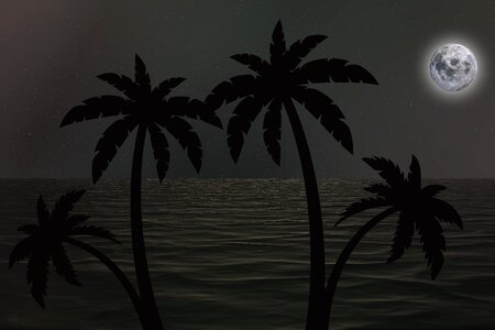 Night landscape silhouette