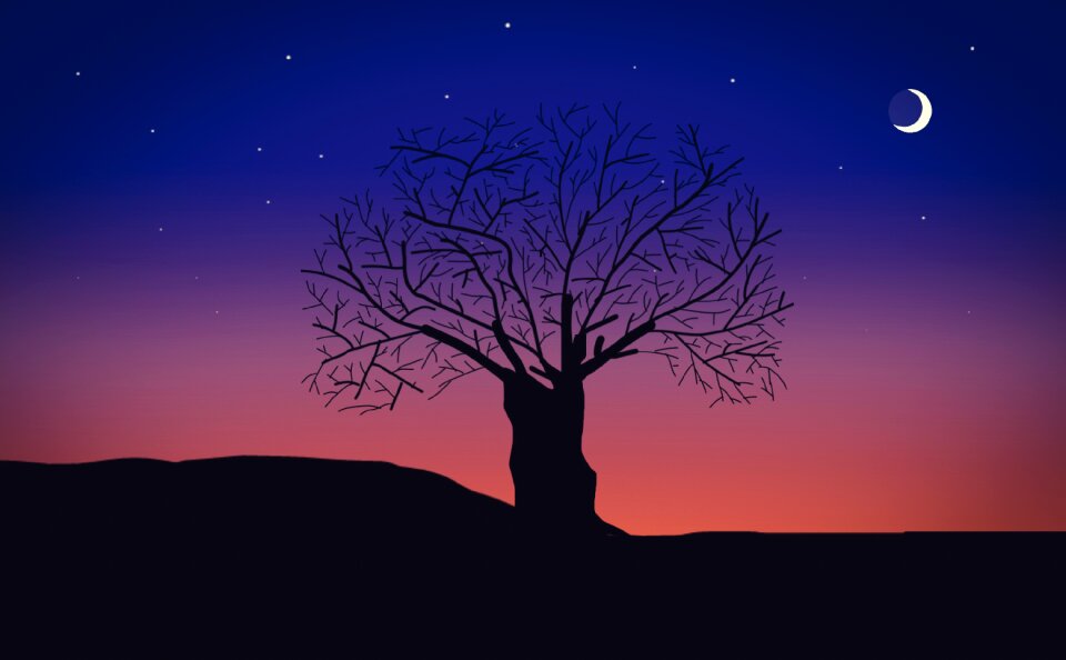 Night tree stars