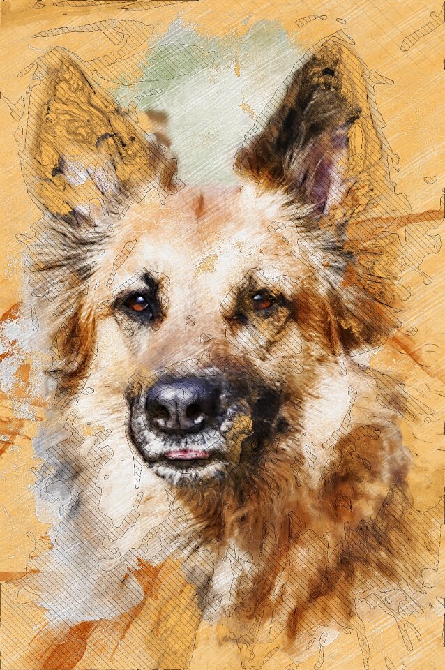 Comrade portrait friend