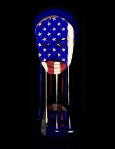 Freedom democracy Free illustrations