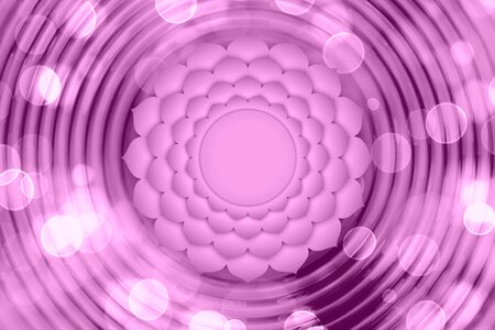 Center yoga sacral chakra