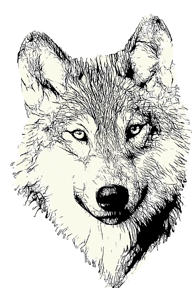 Wild wildlife predator