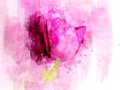 Nature floral pink flowers