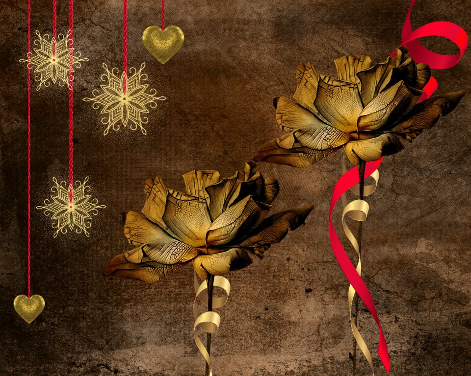 Flowers card stars