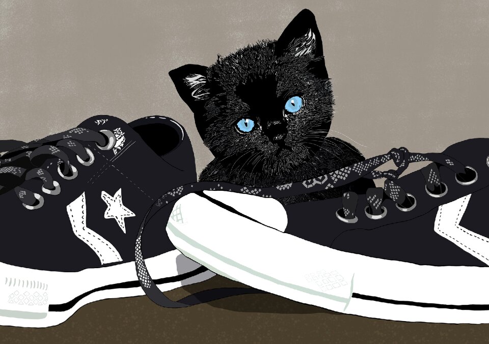 Kitty feline pet