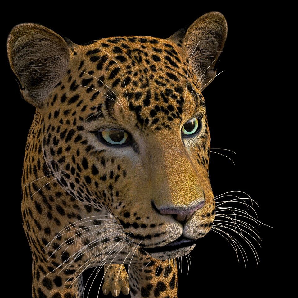 Africa nature Free illustrations