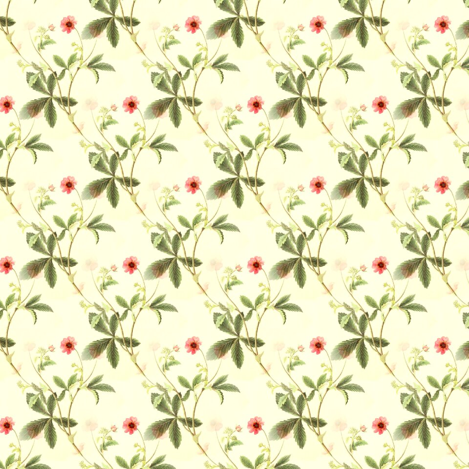 Summer seamless Free illustrations
