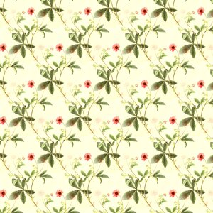 Summer seamless Free illustrations