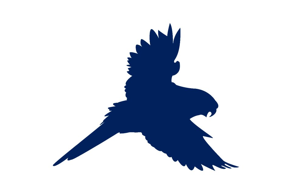 Silhouette wing nature