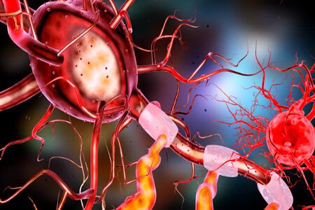 Nerve science system