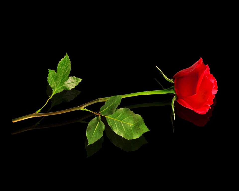 Decoration dedicated love