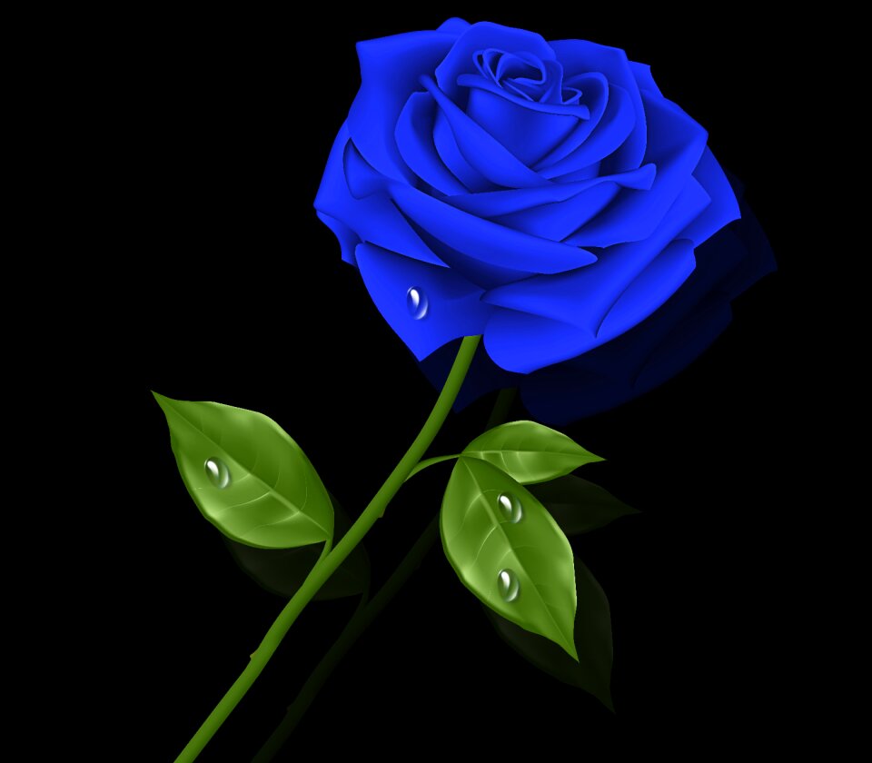 Nature love pink blue