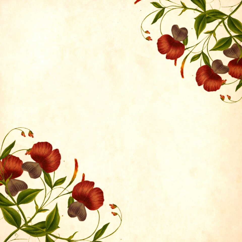 Roses bouquet floral
