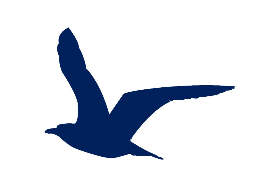 Silhouette wing nature