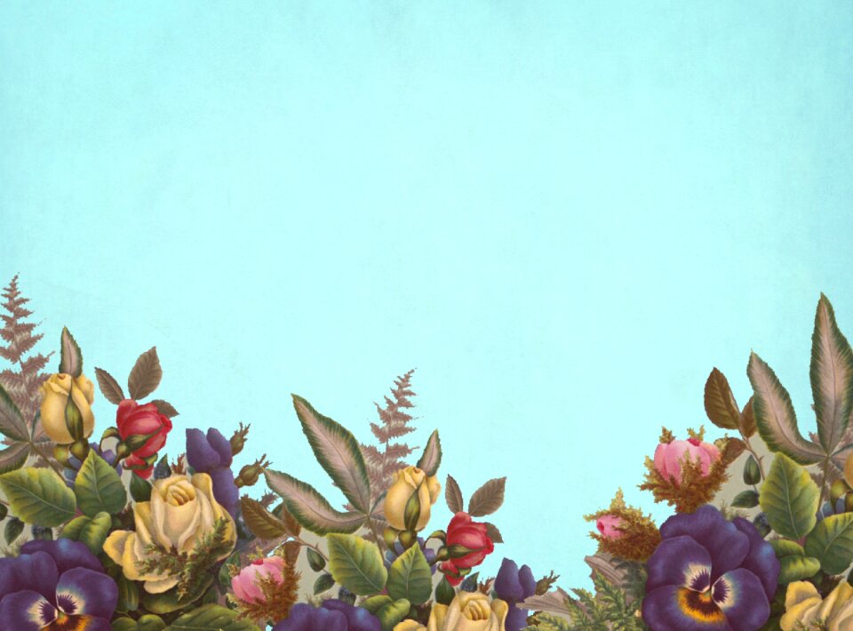 Roses bouquet floral