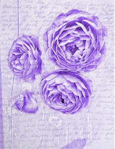 Scrapbooking shabby chic purple