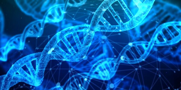 Proteins biology chemistry