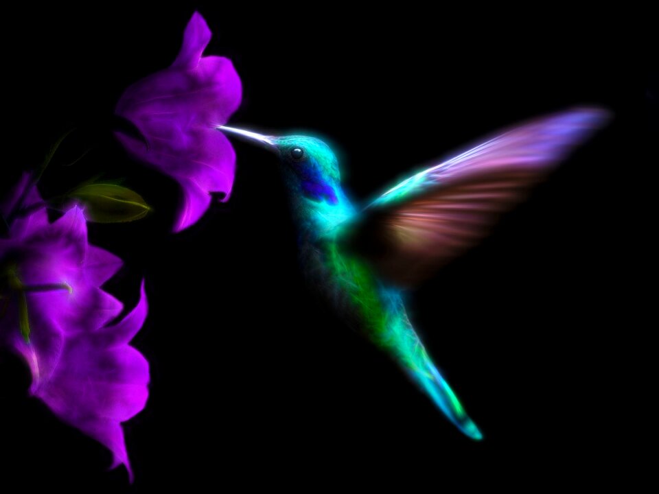 Ave flight flying