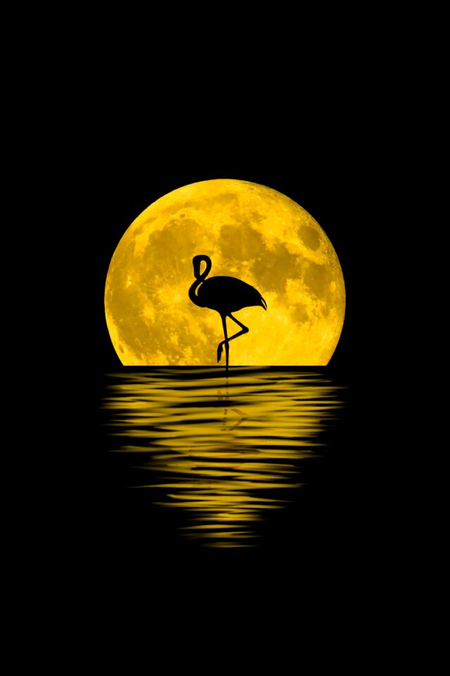 Animal full moon background