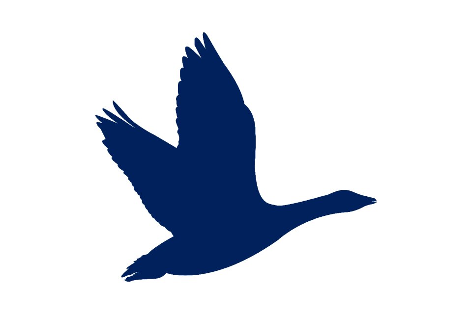 Silhouette wing nature