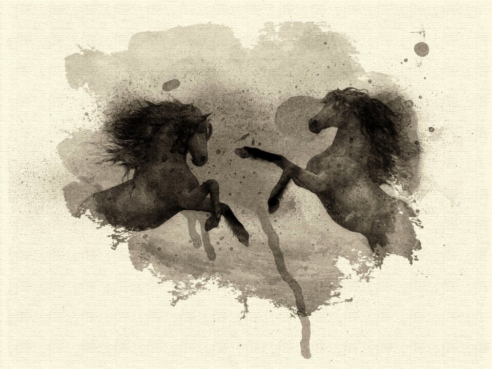 Horses nature Free illustrations