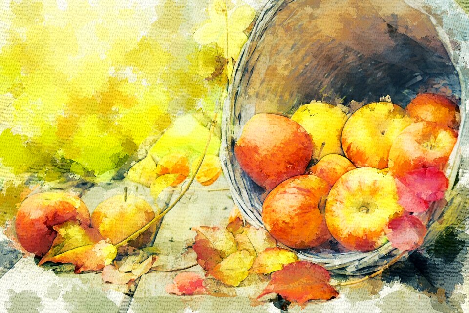 Basket still life nature