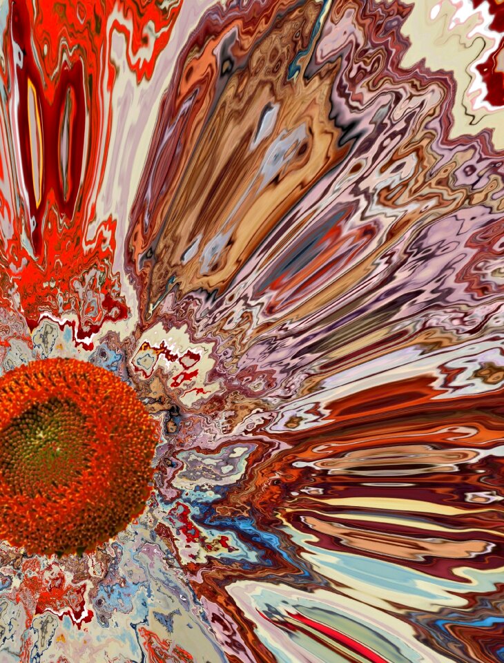 Blossom bloom background