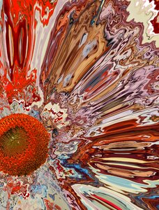 Blossom bloom background