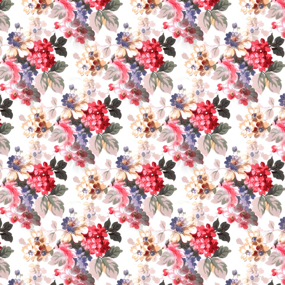 Summer decorative Free illustrations