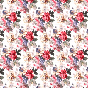 Summer decorative Free illustrations