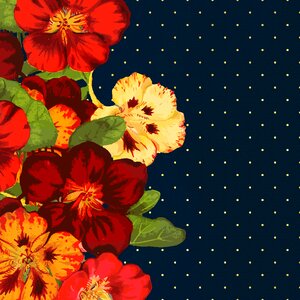 Navy blue polka dot gold foil romance