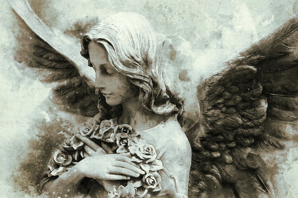 Dark angel dark angel