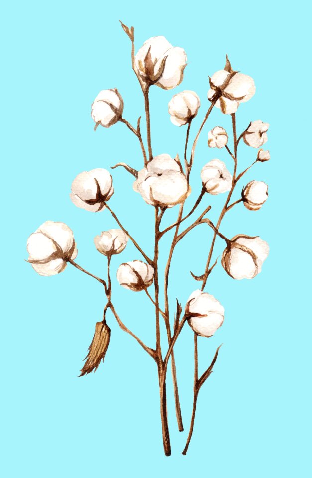 Plant agriculture Free illustrations