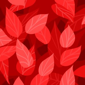 Beautiful background colorful background red background