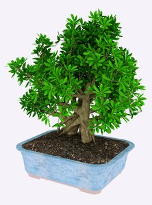 Leaves green 3d-model
