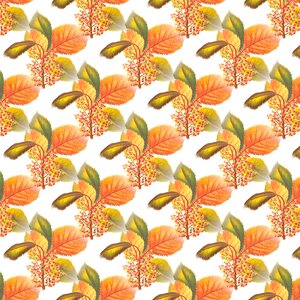 Autumn pattern orange leaf