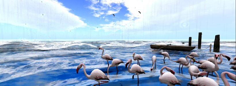 Wave sky Free illustrations