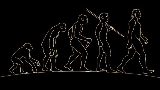 Body prehistory anthropology