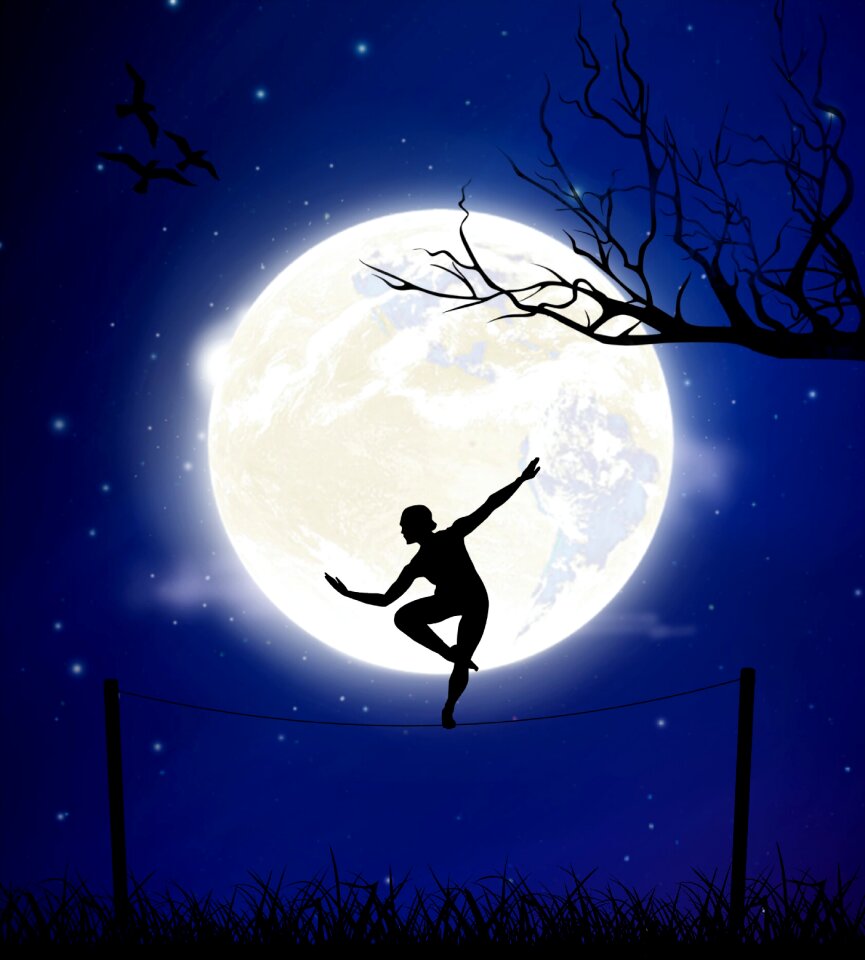 Tightrope walker branches birds