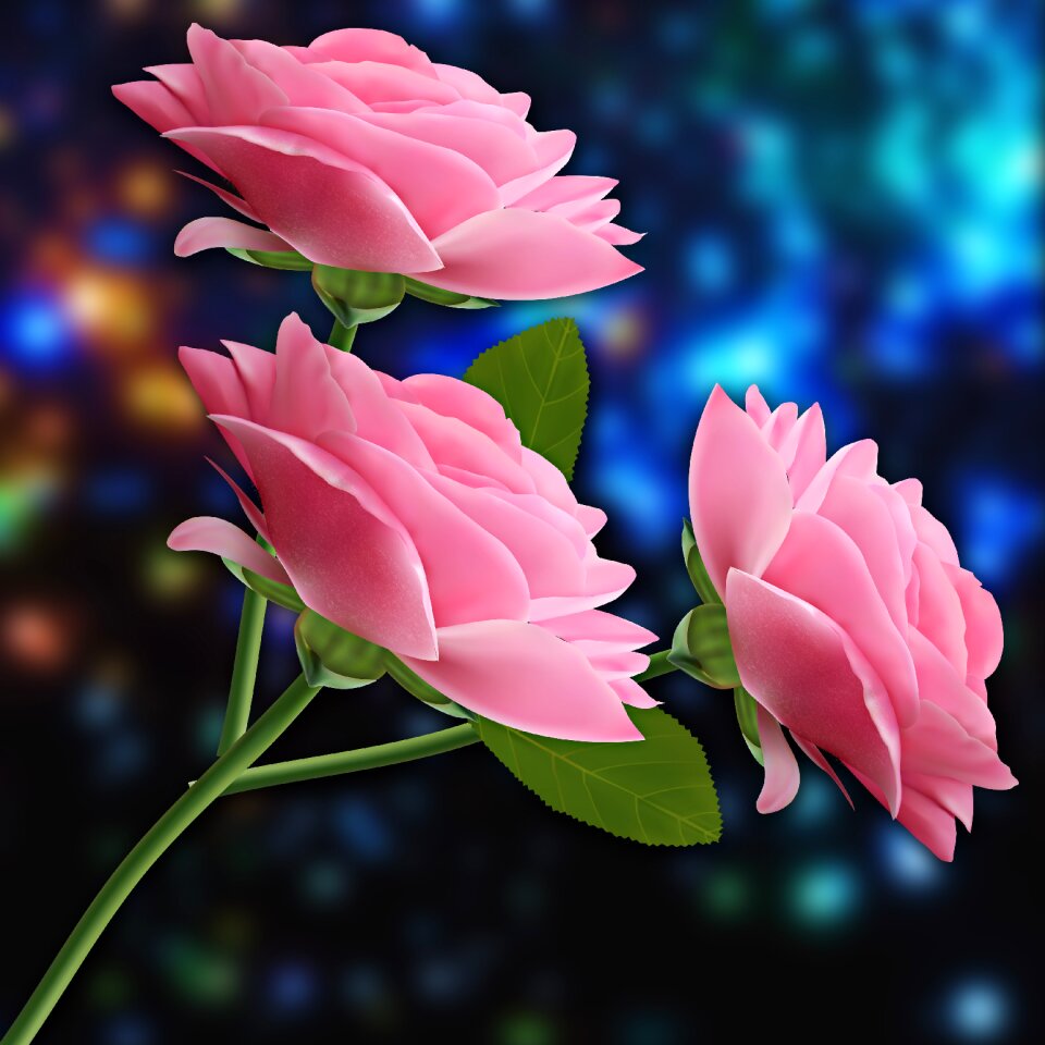 Leaf pink flowers pink