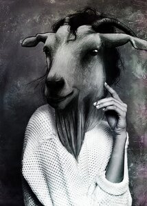 Animal woman Free illustrations